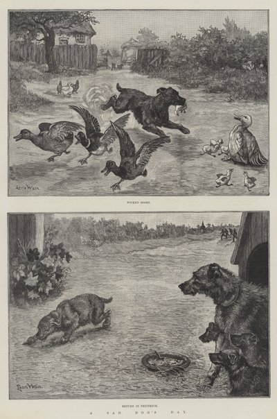 Un día triste para el perro de Louis Wain